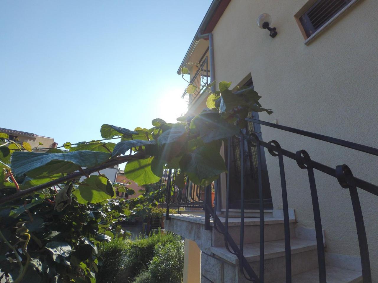 Apartment Exclusive Annex Rovinj Eksteriør bilde